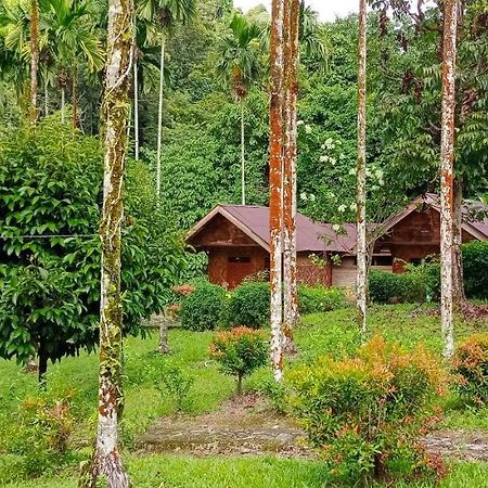 Green Lodge Tangkahan Exterior photo