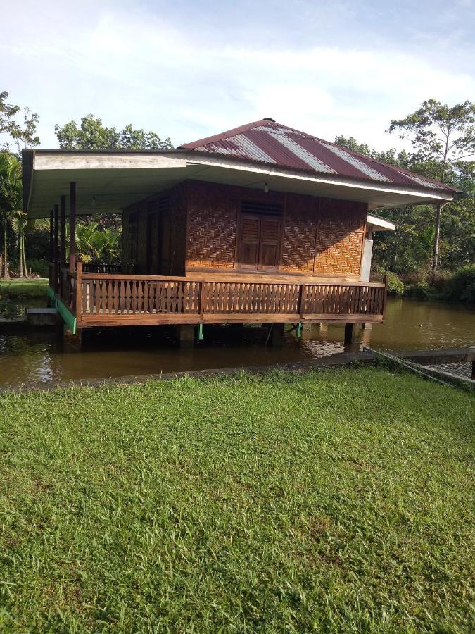Green Lodge Tangkahan Exterior photo