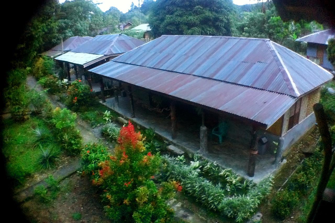 Green Lodge Tangkahan Exterior photo