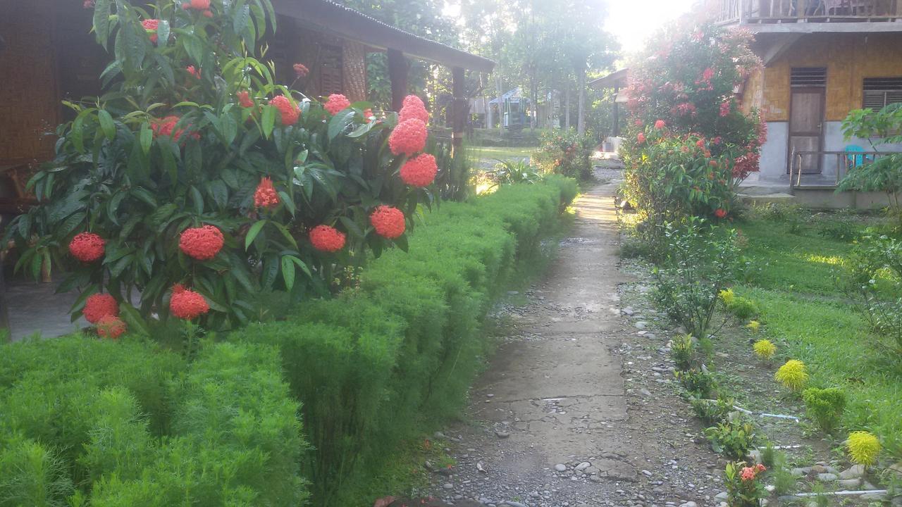 Green Lodge Tangkahan Exterior photo