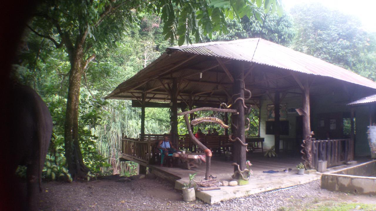Green Lodge Tangkahan Exterior photo