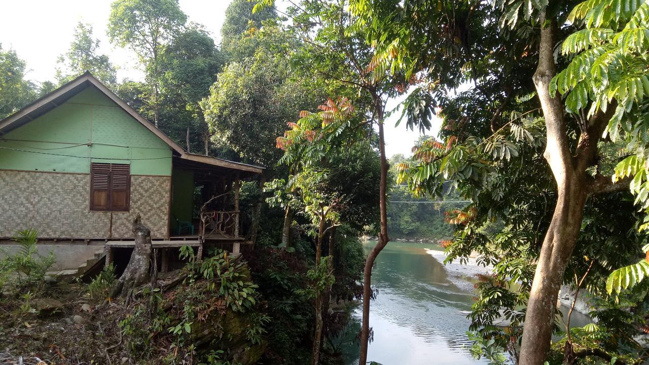 Green Lodge Tangkahan Exterior photo